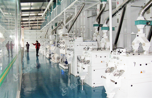 日產250噸成套碾米機設備